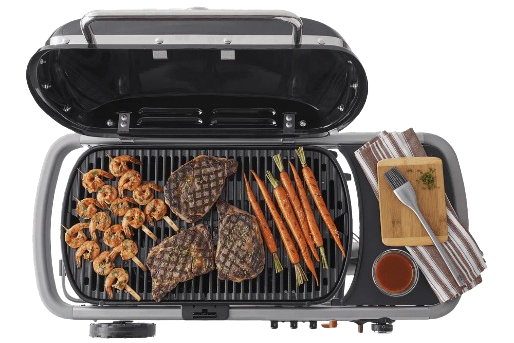 Gas Grill guide